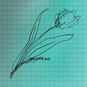 黑鬼大战日本少妇
