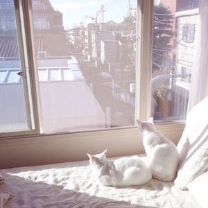 黑鬼大战日本少妇
