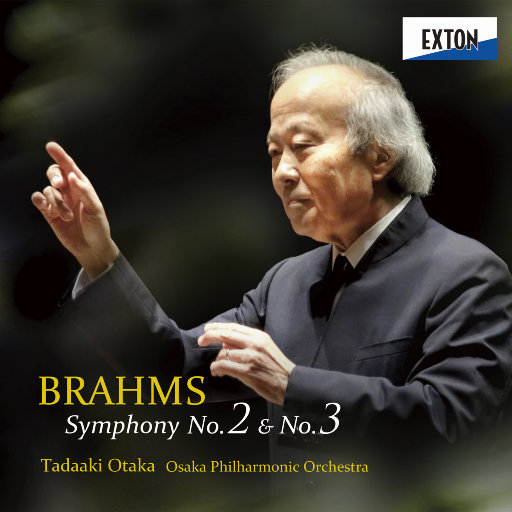 黑鬼大战日本少妇
